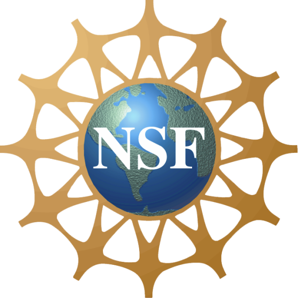 NSF_Logo.PNG