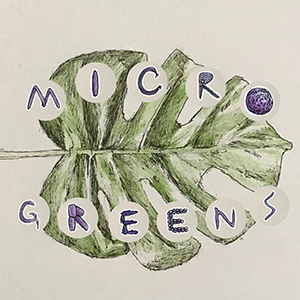 08 7 Sticker Microgreens