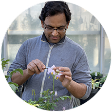 01InterConnections Karki circle 2099572