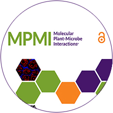 01SocNews MPMICover 2696478