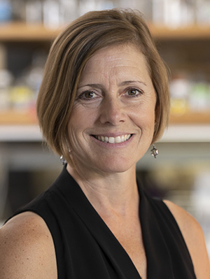 01SocNews Mudgett 01SocNews Mudgett