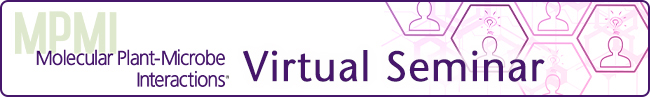 03MPMI VitrualSeminar 650x97