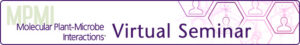 03MPMI VitrualSeminar 650x97