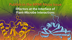 03WhatsNew Effectors graphic