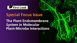03WhatsNew Endomembrane graphic