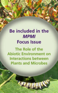 04MPMI Focus Issue (1)