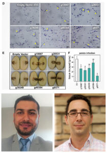 04UpcomingEvent image