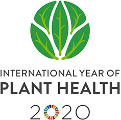 04 IYPH Logo 280x235 04 IYPH Logo 280x235