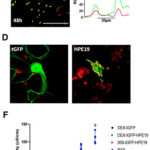 05EdPick ReyesCaldas