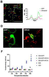 05EdPick ReyesCaldas