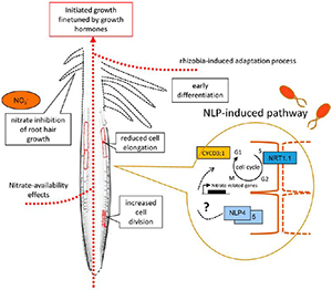 05EdsPick HernandezReyes (1)