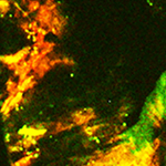 05MPMI BestPaper HM2