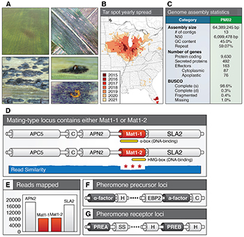05MPMI EdPick MacCready image