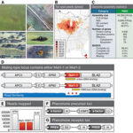 05MPMI EdPick MacCready image