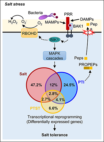 06EdPick July figure
