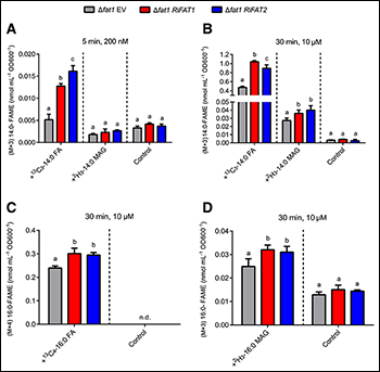 06EdPick June figure