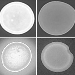 06EdPick SepGraphic 1