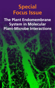 06WhatsNewMPMI FI2023