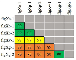 06 EdsPick 06 EdsPick