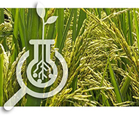 07Event EC Showcase 07Event EC Showcase