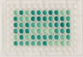 07MPMI EdPick Marttinen image 07MPMI EdPick Marttinen image