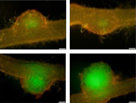 07MPMI EdPick Tang image 07MPMI EdPick Tang image