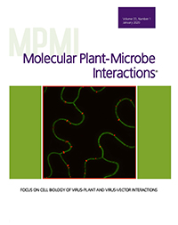 07 mpmi coversample1
