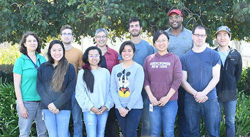 08 LewisLab2019 08 LewisLab2019
