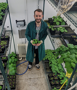 InterConnections King