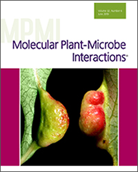 June 2019 MPMI Cover