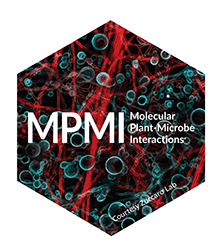 MPMI Hex Sticker 220x252 (1)