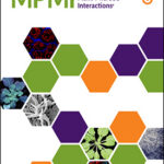 MPMI 2021Cover (1)