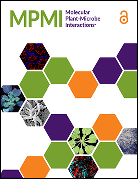 MPMI 2021Cover (4)