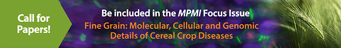 MPMI 2025FI Call banner (1) MPMI 2025FI Call banner (1)