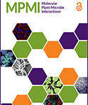 MPMI Cover