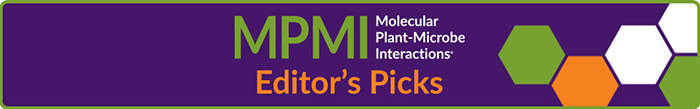 MPMI EdPick banner700 (1)