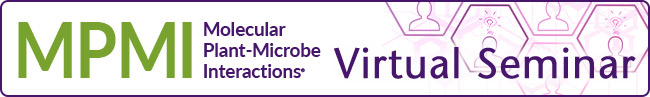 MPMI VitrualSeminar 650x97