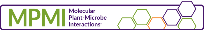 MPMI banner700
