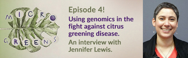 Microgreens Ep4 650x200