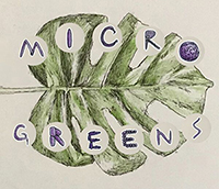 Microgreens icon (1)