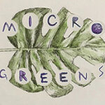 Microgreens icon