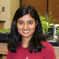 Sowmya MPMI Sowmya MPMI