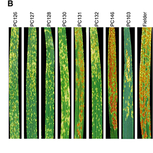 images large mpmi 01 20 0018 r f4