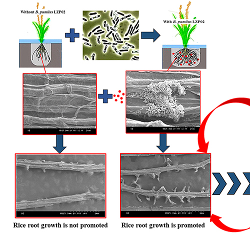 images large mpmi 04 20 0106 rf9