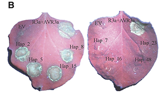 images large mpmi 07 19 0179 r f3 1622726