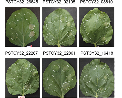 images large mpmi 08 20 0244 rf6