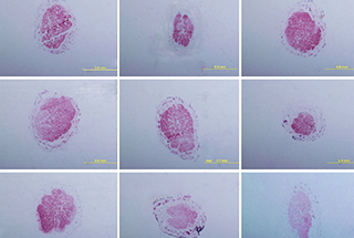 mpmi 01 20 0017 r f5 1602032