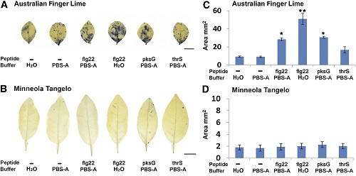 mpmi 11 19 0309 r f6
