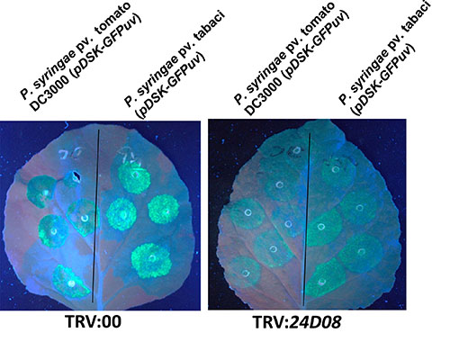 mpmi500x400 mpmi500x400