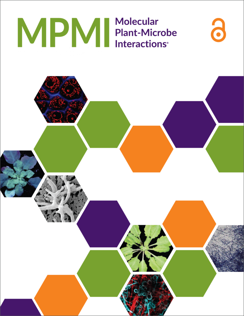 MPMI Cover